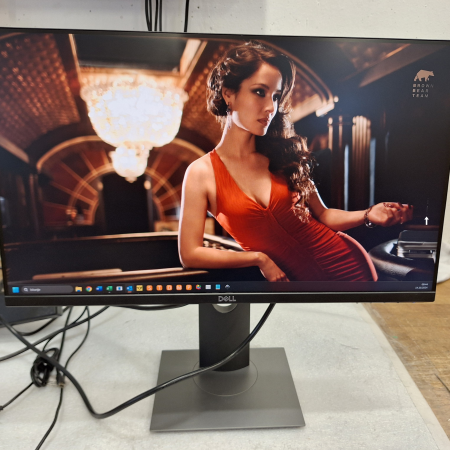 Monitor, 61 cm (24''), DELL Professional P2419H... ugodna cena / kvaliteta A-